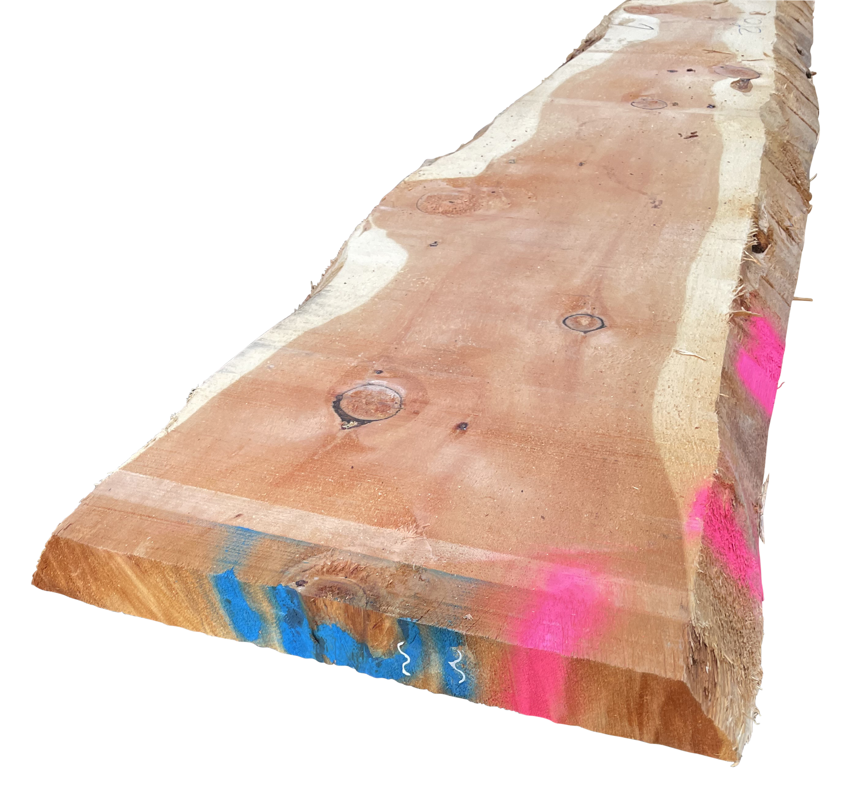 52 mm Zirbelkiefer, KD_0 52 mm Zirbelkiefer, KD_0