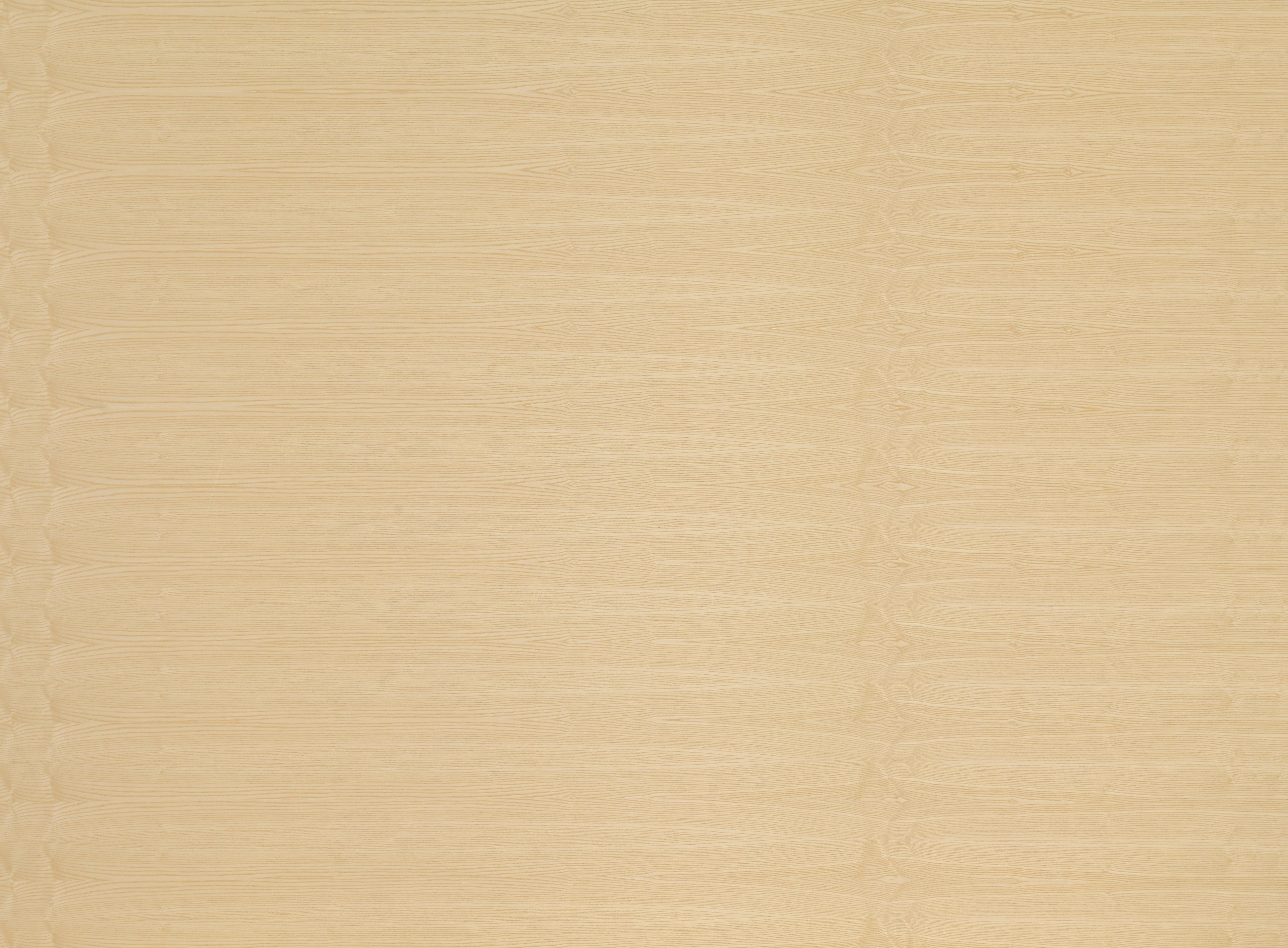 19 mm europ. Esche furnierte Spanplatte - E1 P2 CE_0 19 mm europ. Esche furnierte Spanplatte - E1 P2 CE_0