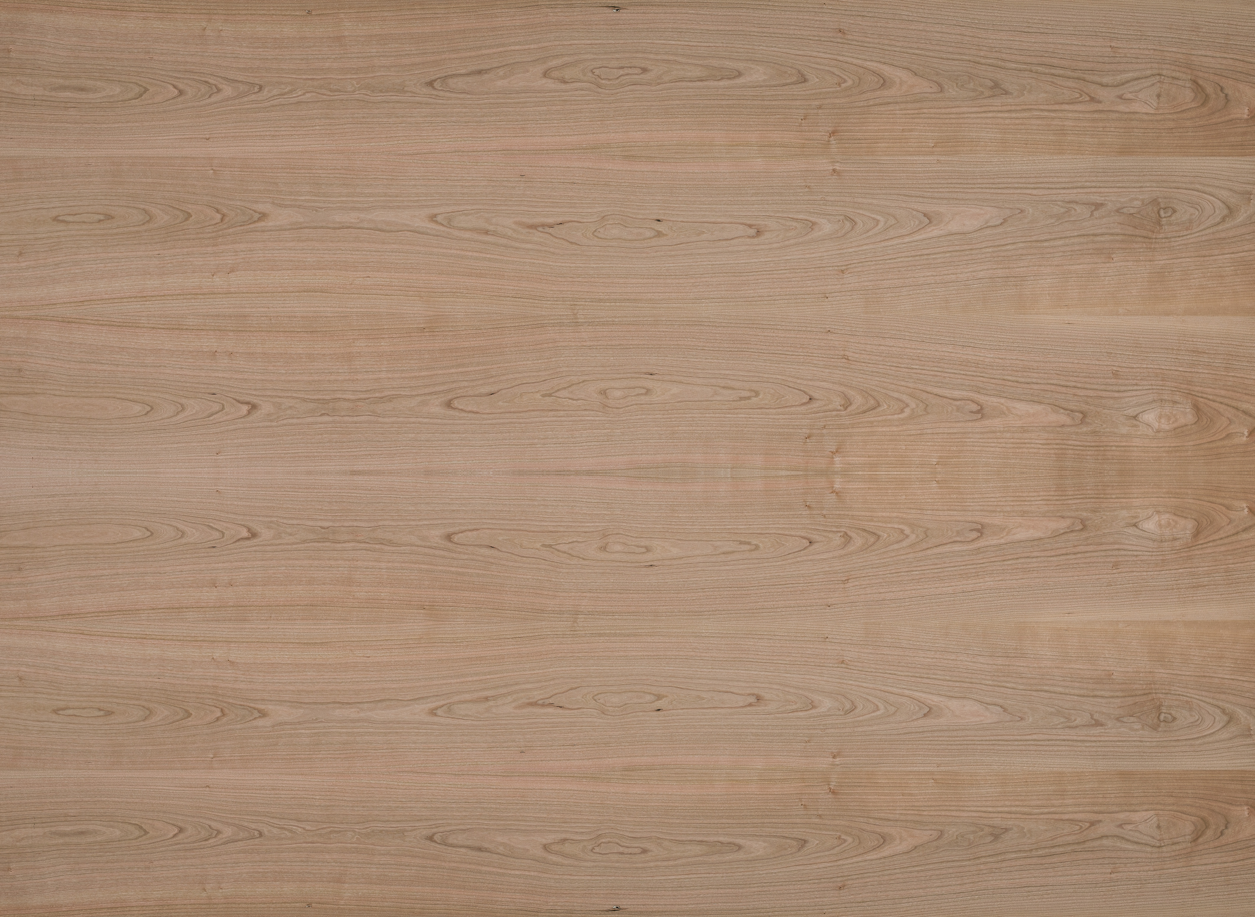 9 mm amerik. Kirschbaum furnierte Spanplatte - E1 P2 CE_0 9 mm amerik. Kirschbaum furnierte Spanplatte - E1 P2 CE_0