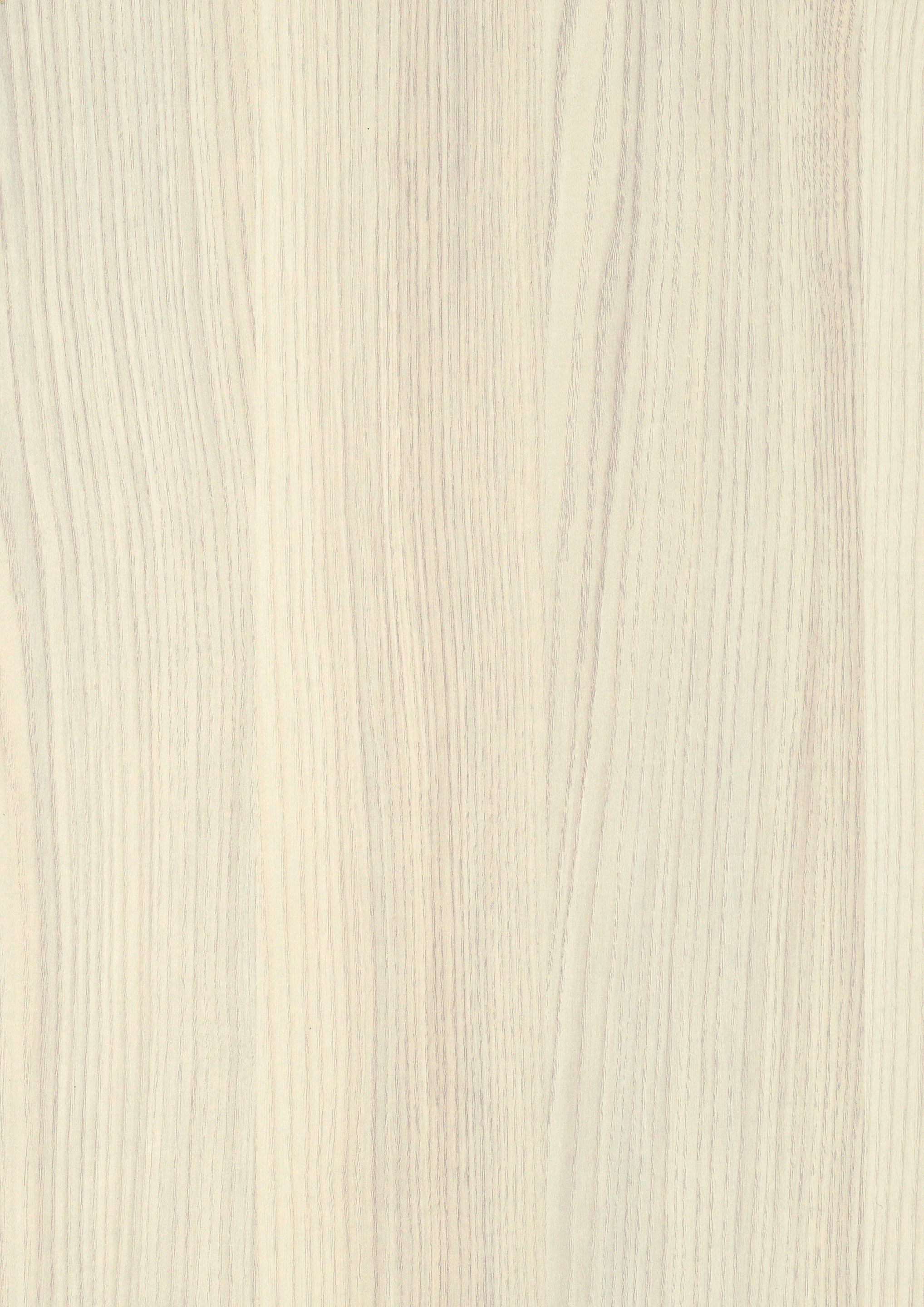 0,8 mm Egger Schichtstoff H1223 ST19_0