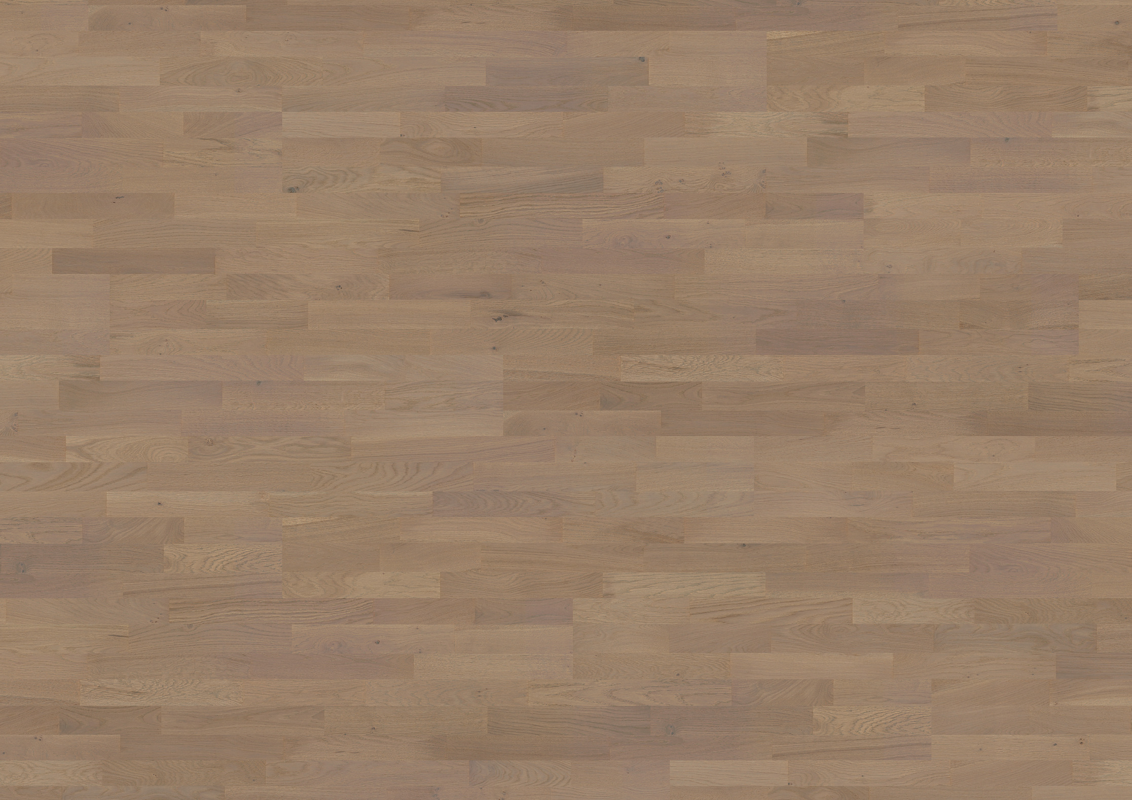 14 mm ter Hürne Parkett EVO - Eiche Kotor_2 14 mm ter Hürne Parkett EVO - Eiche Kotor_2