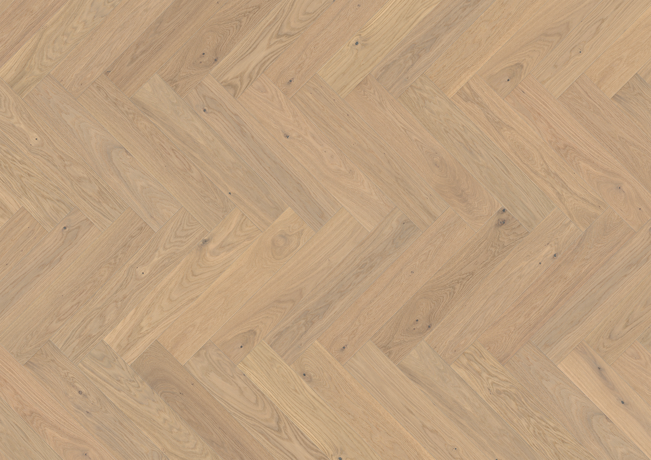 14 mm ter Hürne Parkett EVO - Eiche Kralingen_2 14 mm ter Hürne Parkett EVO - Eiche Kralingen_2