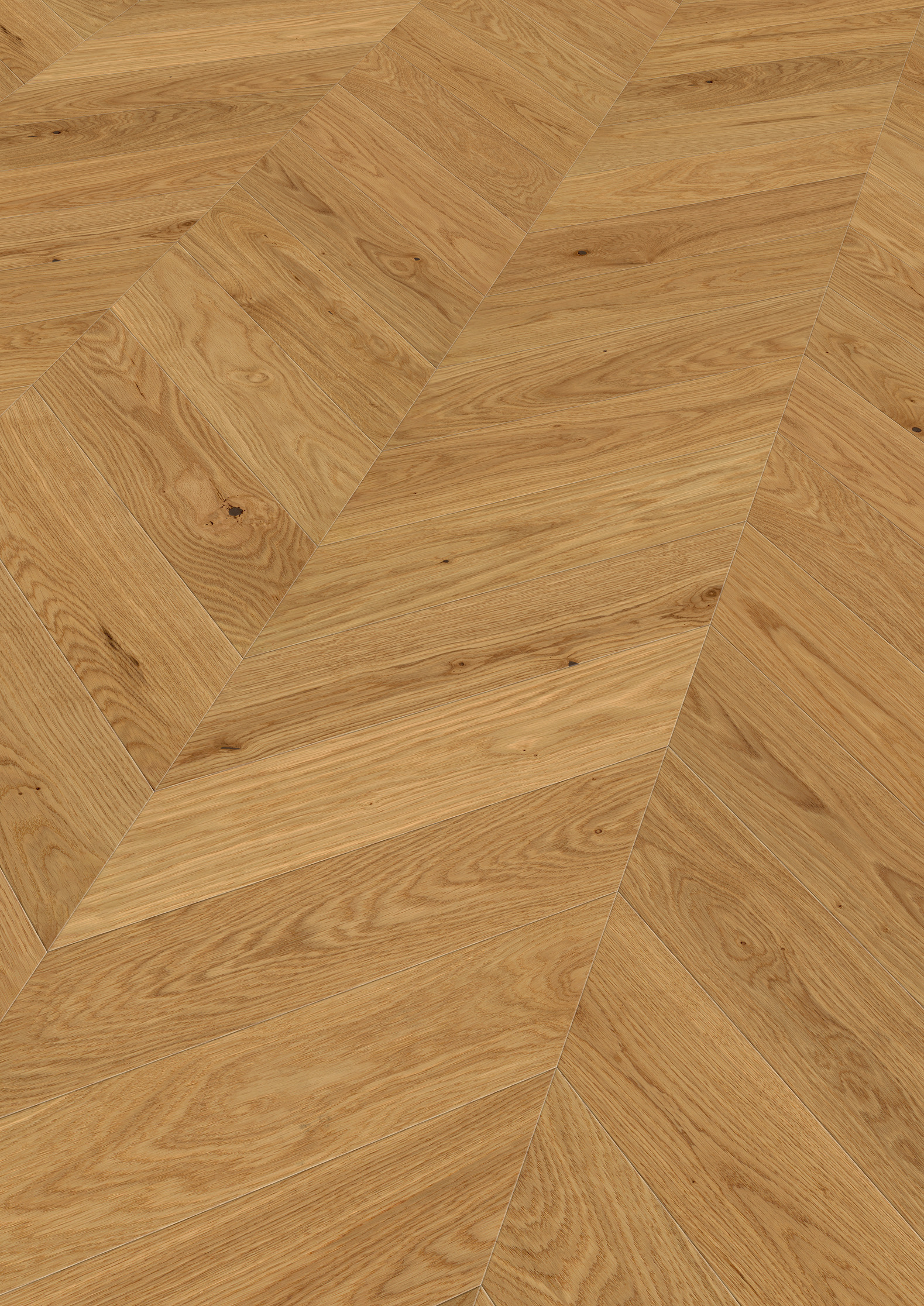 14 mm ter Hürne Parkett EVO - Eiche Jambes_1 14 mm ter Hürne Parkett EVO - Eiche Jambes_1