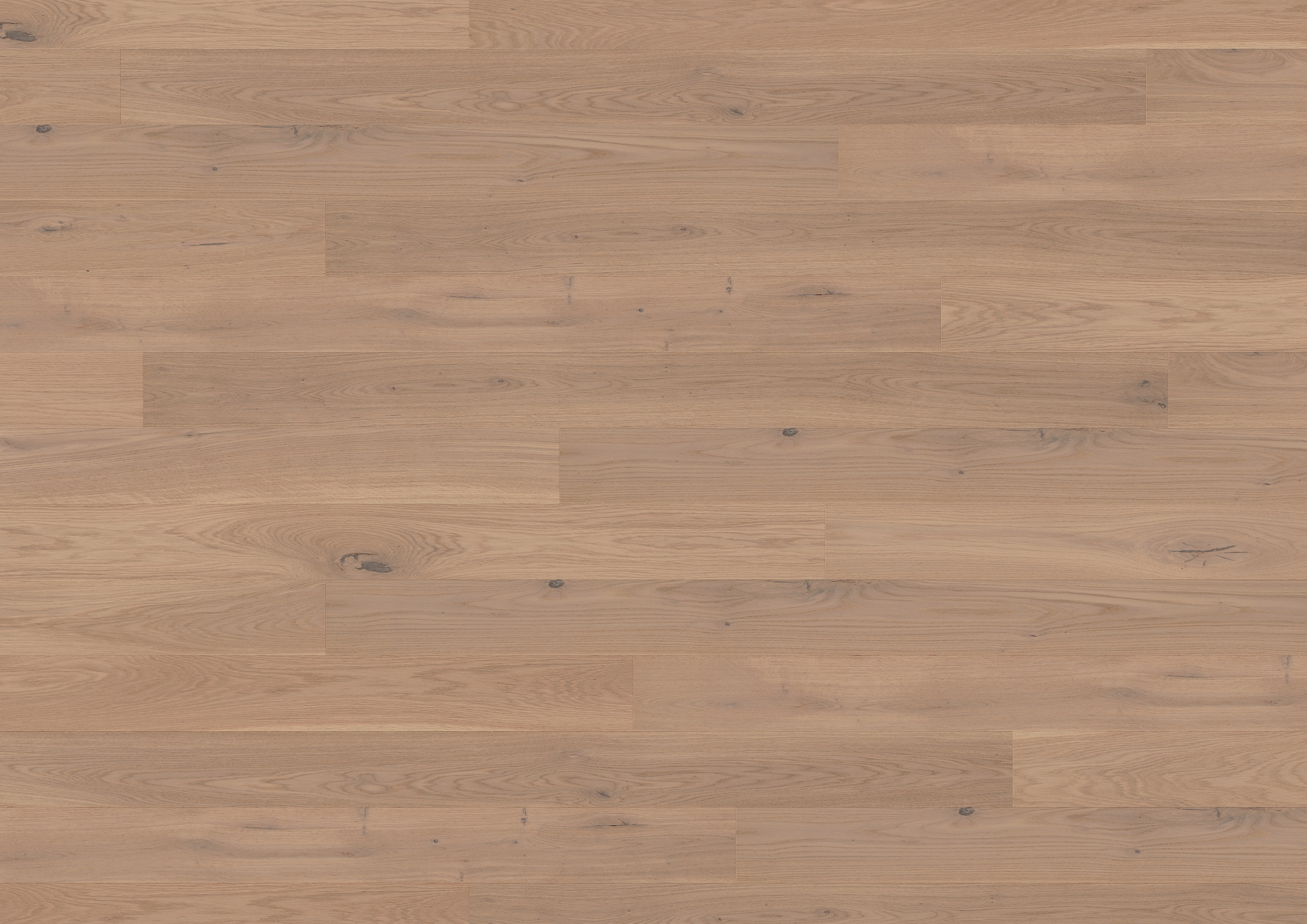 13 mm ter Hürne Parkett - Eiche Beaujolais_3 13 mm ter Hürne Parkett - Eiche Beaujolais_3