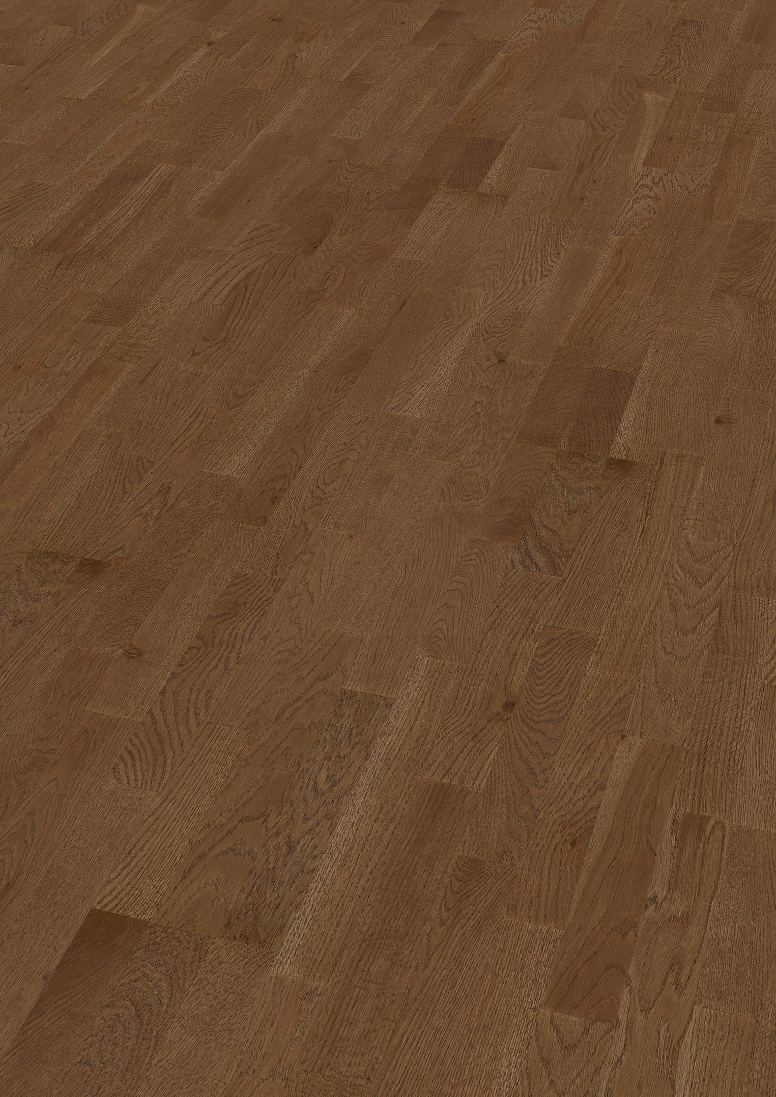 13 mm ter Hürne Parkett - Eiche Burgund_1 13 mm ter Hürne Parkett - Eiche Burgund_1