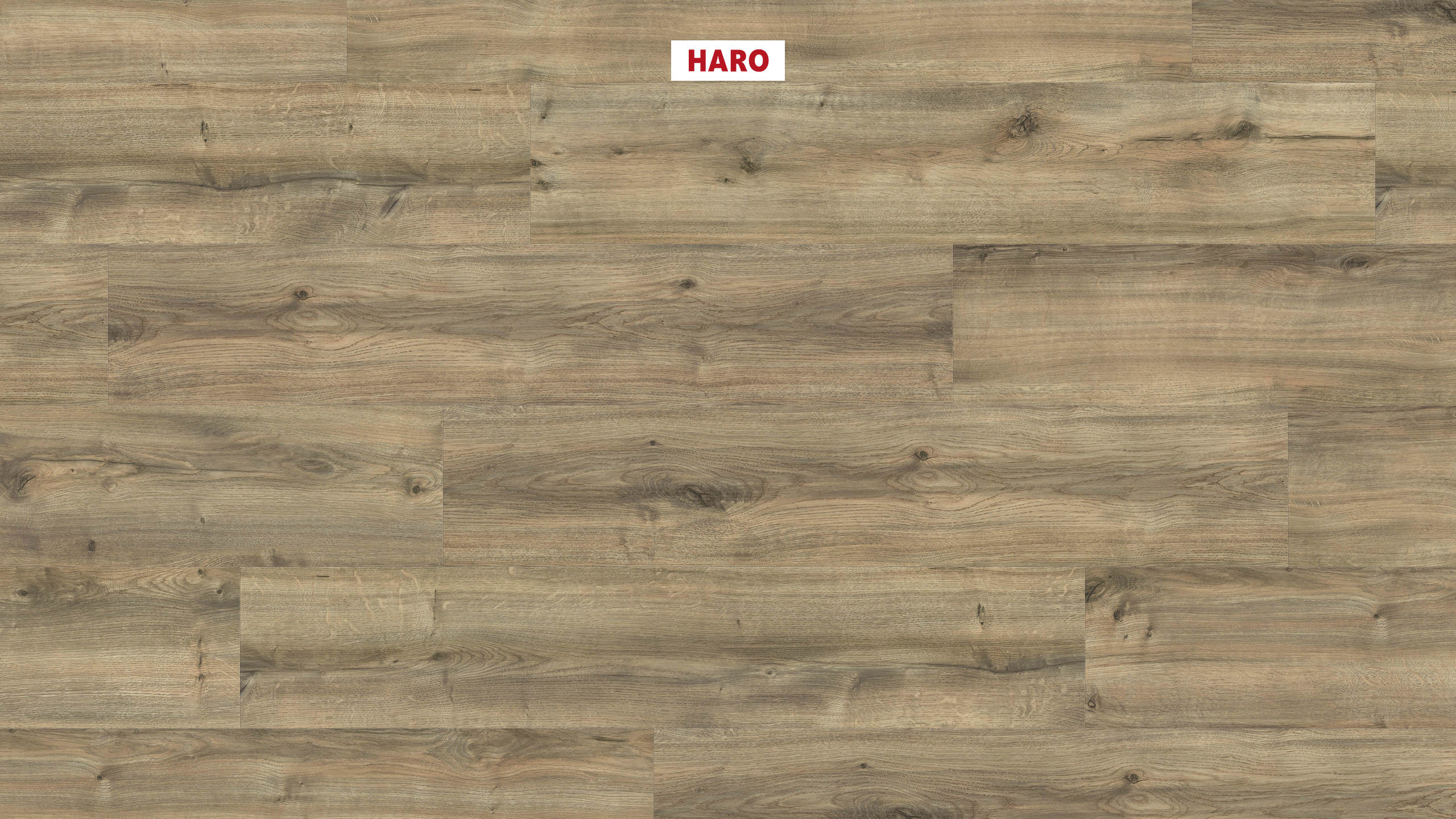 2 mm HARO DISANO Project - Gebirgseiche greige_1 2 mm HARO DISANO Project - Gebirgseiche greige_1