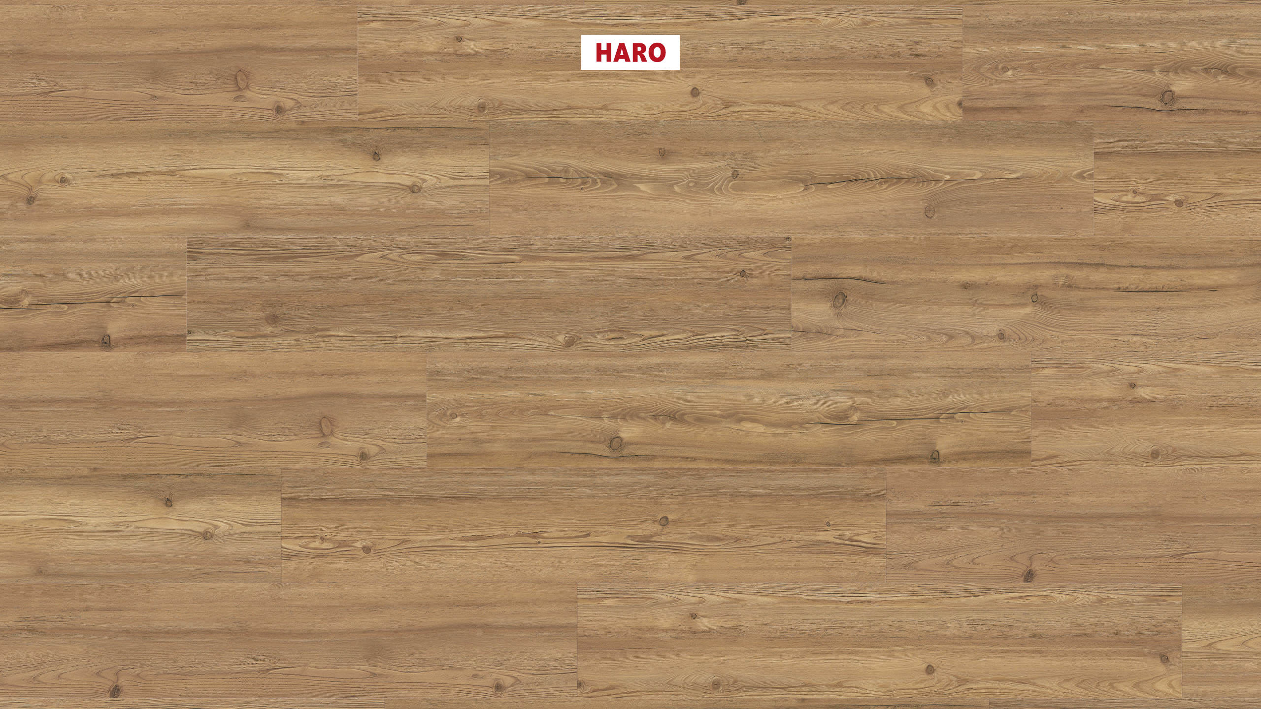 2 mm HARO DISANO Project - Berglärche cognacbraun_1 2 mm HARO DISANO Project - Berglärche cognacbraun_1