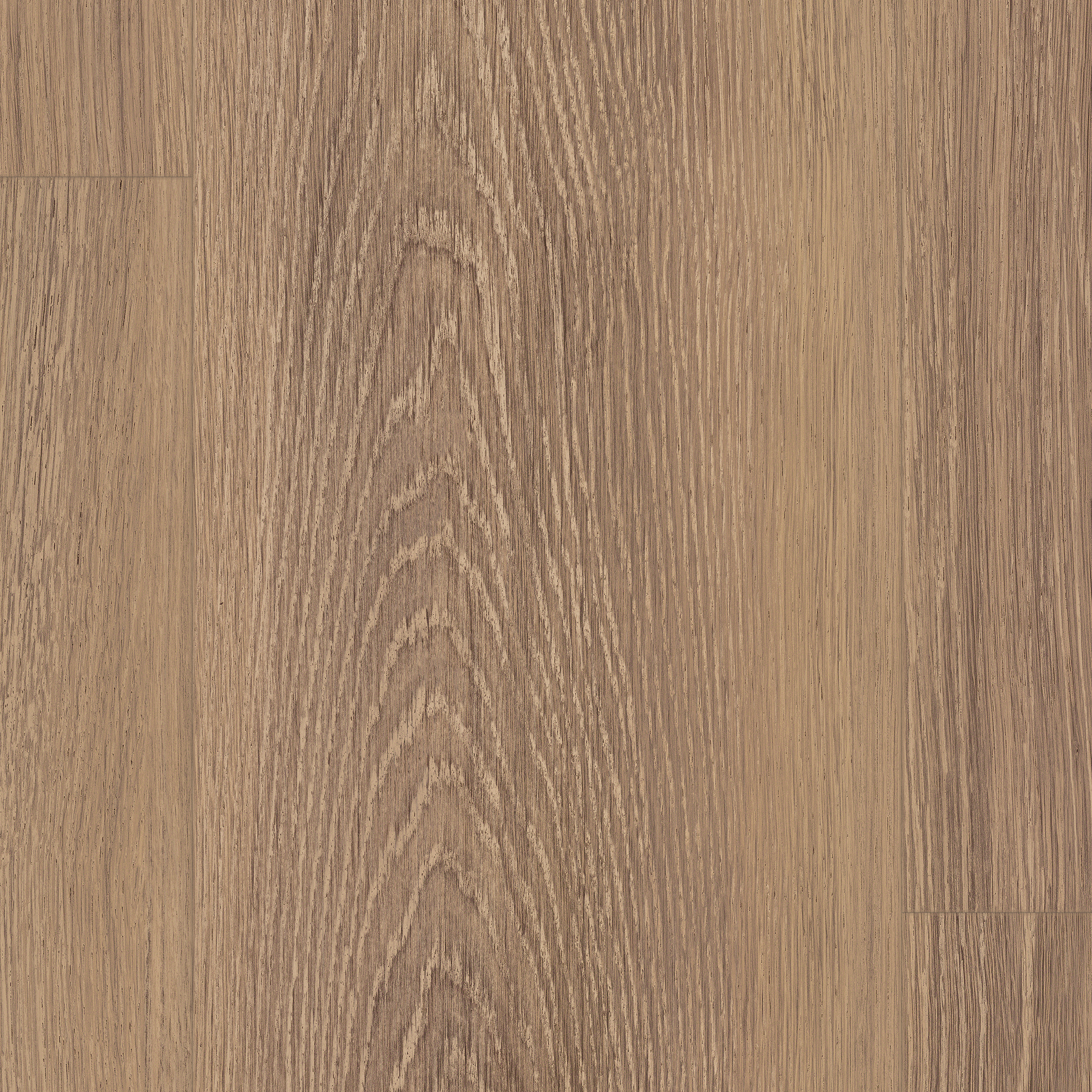 7,5 mm EGGER - Capri Eiche braun - EDF197_4 7,5 mm EGGER - Capri Eiche braun - EDF197_4