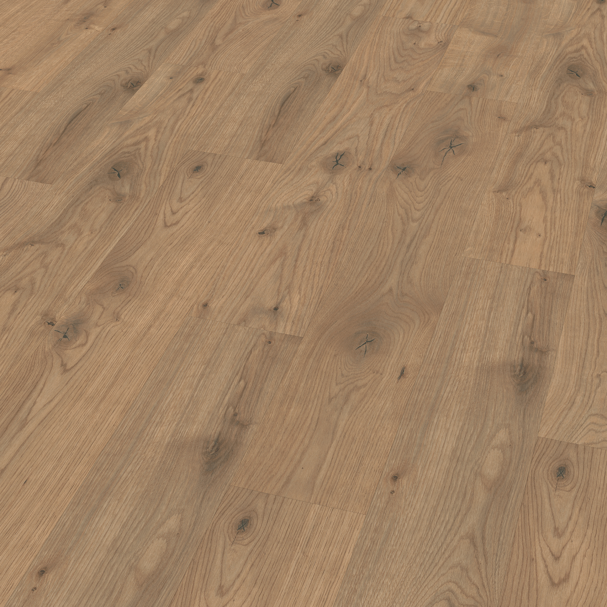 7,5 mm EGGER - Almington Eiche natur - EDF177_1