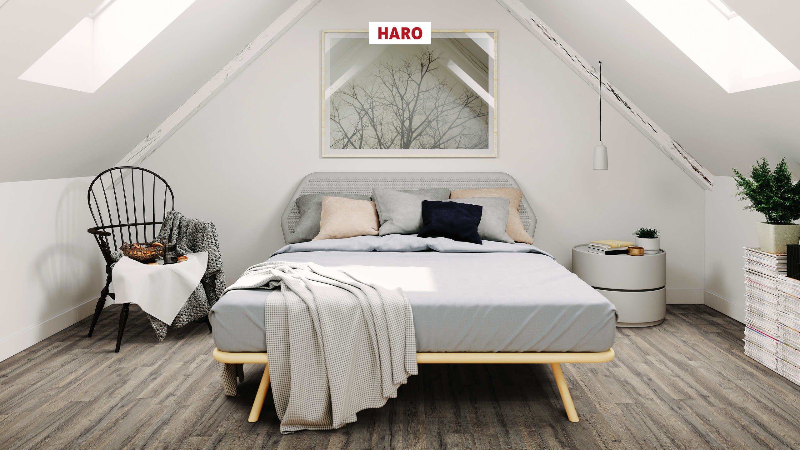 7 mm HARO Laminatboden Sonderedition NKL 31 - Graphiteiche_1