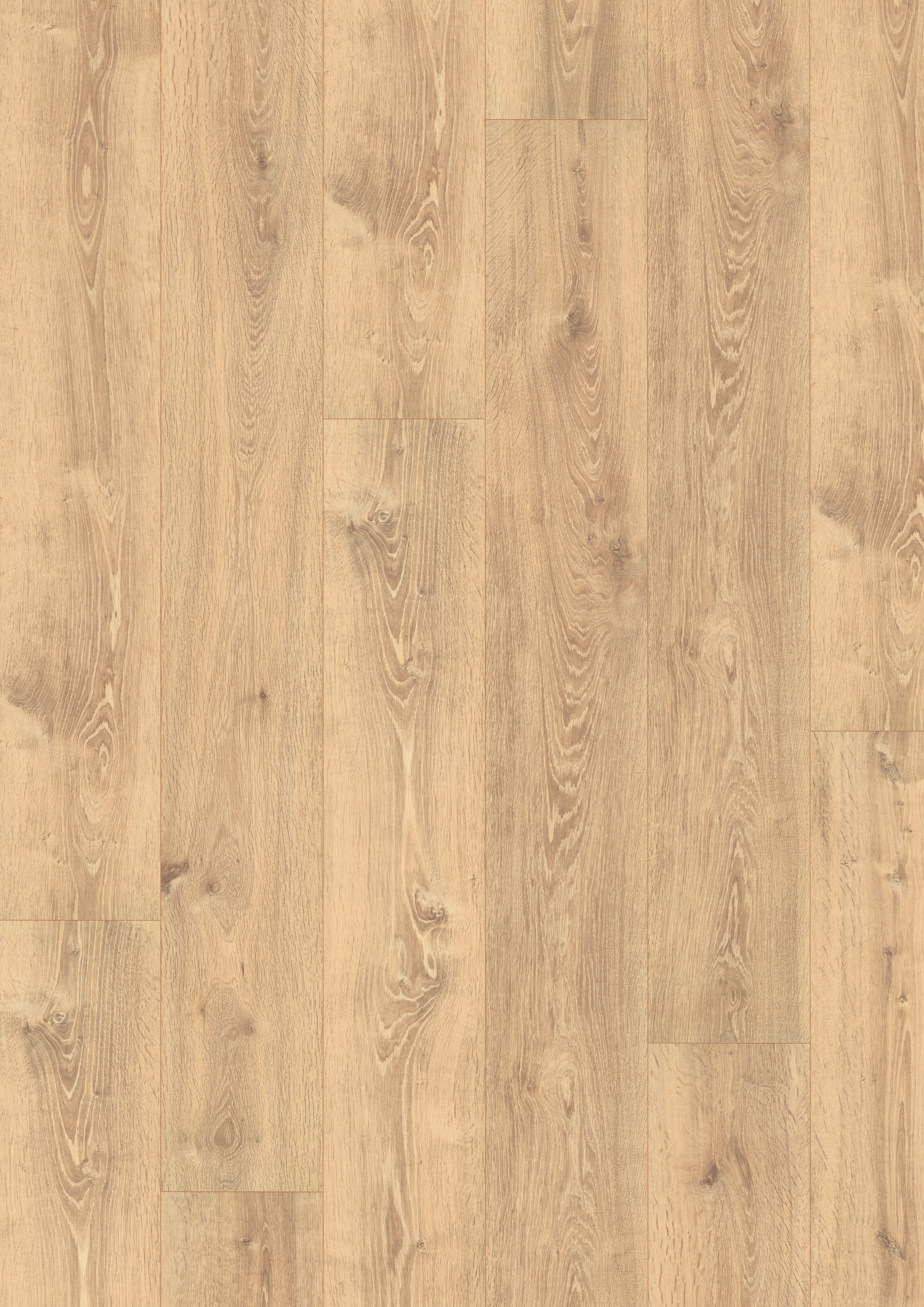 10 mm EGGER - Bayford Eiche hell - EL2431_3