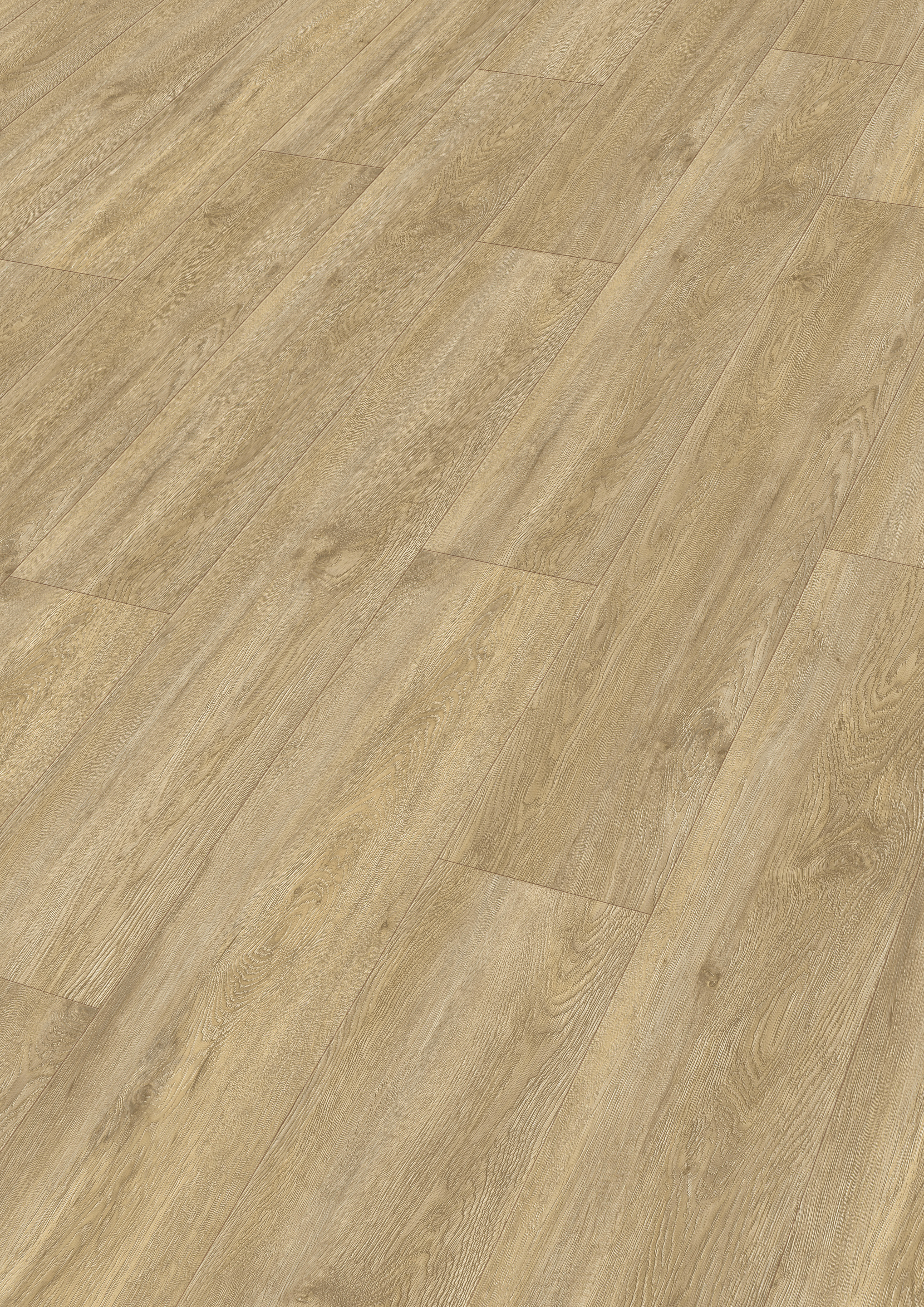 2,5 mm MeisterRigid-Vinyl DD 155 - Vogue 20195_1