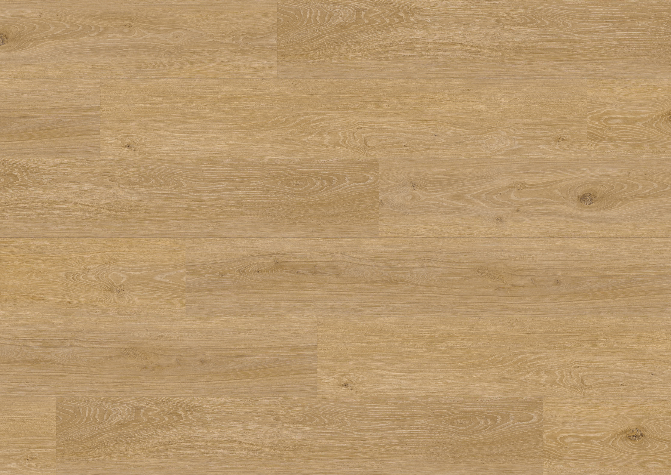 2,5 mm ter Hürne Soya Design-Vinylboden - Eiche Den Haag_1 2,5 mm ter Hürne Soya Design-Vinylboden - Eiche Den Haag_1