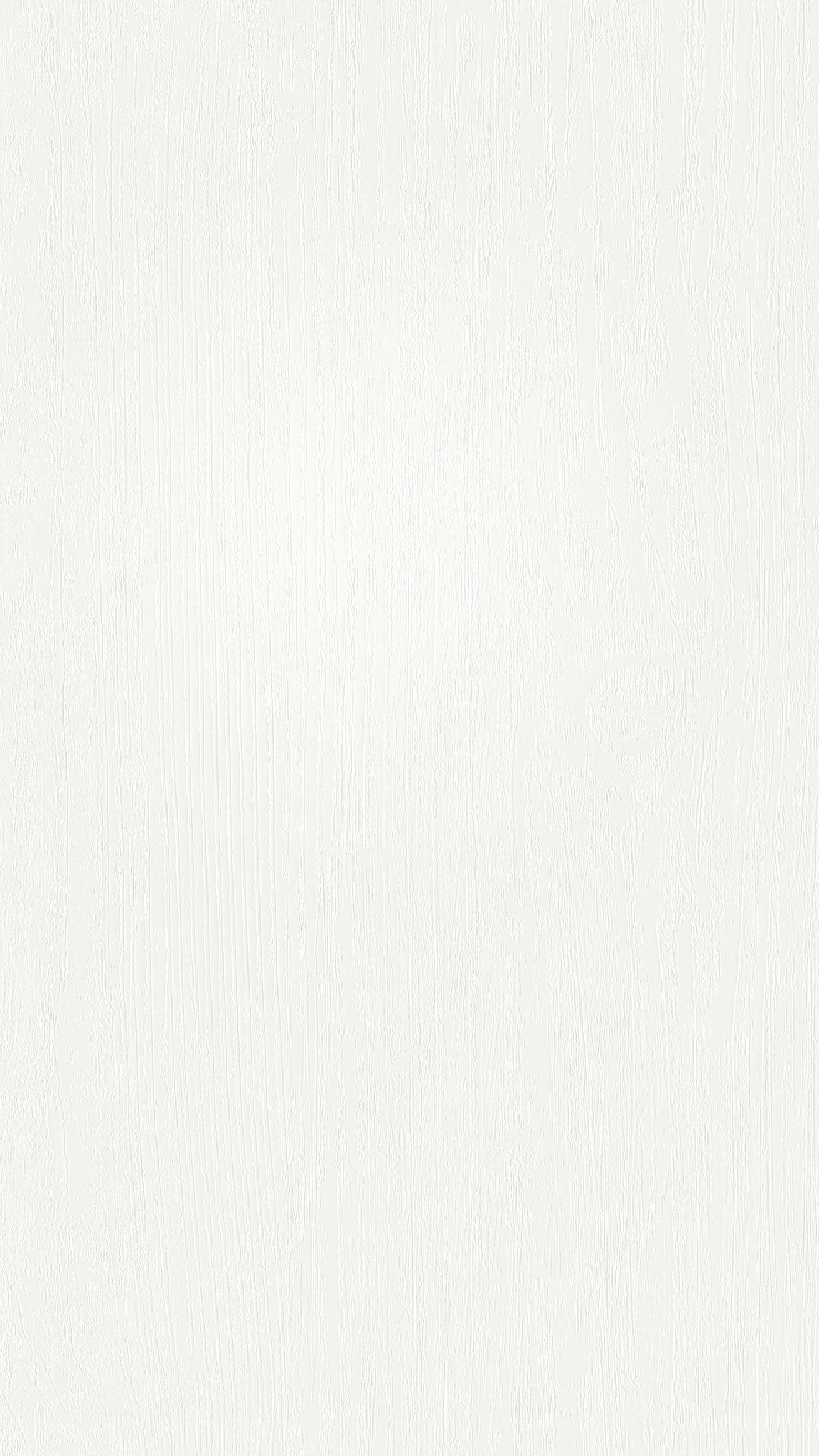 12 x 250 mm MeisterPaneele. terra DP 250  - Vintage white 20099_0