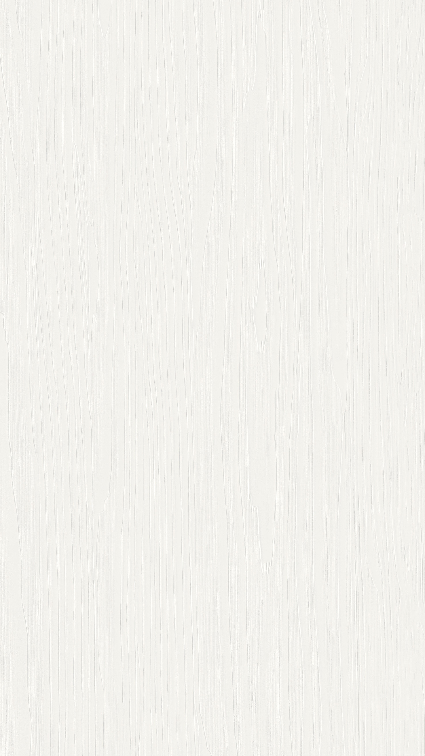 12 x 250 mm MeisterPaneele. terra DP 250  - Snow white wood 20102_0